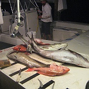 Picture 009